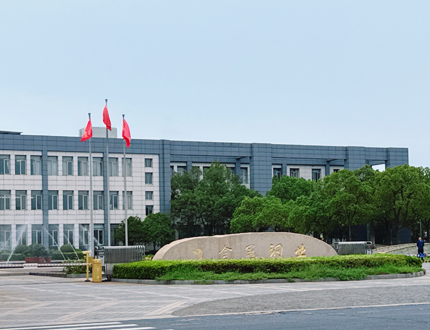 <strong>銅陵有色金屬集團金冠銅業項目</strong>